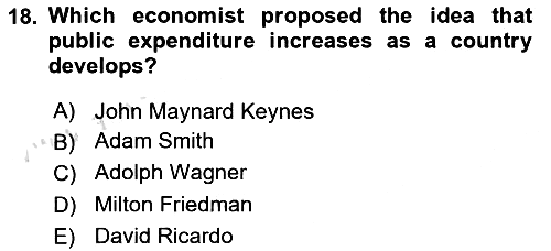 Public Finance 2024-2025 Ara Sınav - 18. soru