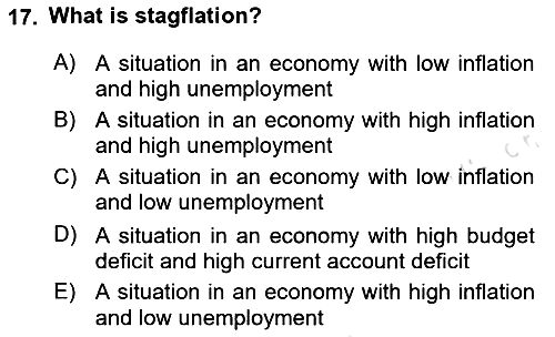 Public Finance 2023-2024 Yaz Okulu Sınavı - 17. soru