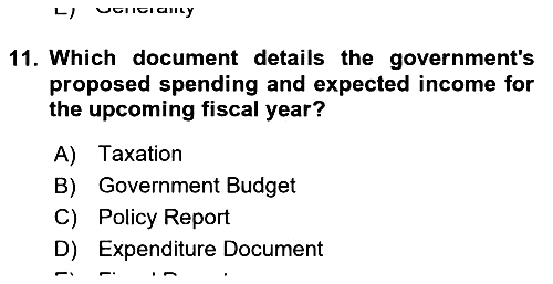 Public Finance 2024-2025 Yaz Okulu Sınavı - 11. soru