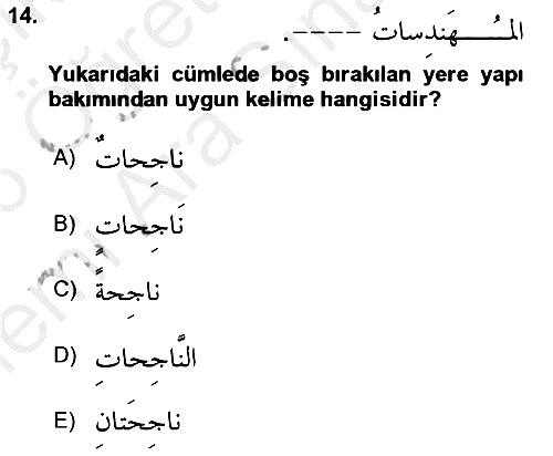 Arapça 1 2025-2026 Ara Sınav - 14. soru