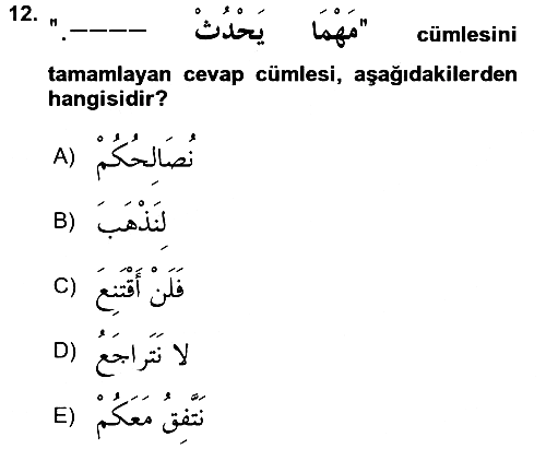 Arapça 3 2018-2019 3 Ders Sınavı - 12. soru
