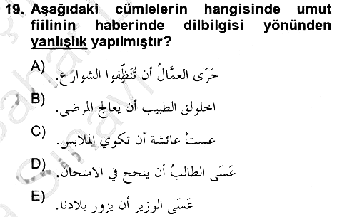 Arapça 4 2012-2013 Ara Sınav - 19. soru