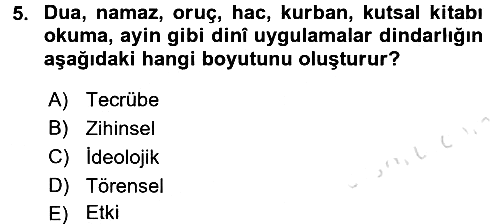 Din Psikolojisi 2017-2018 Ara Sınav - 5. soru