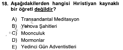 Din Sosyolojisi 2018-2019 Yaz Okulu Sınavı - 18. soru