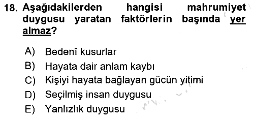 Din Sosyolojisi 2021-2022 Yaz Okulu Sınavı - 18. soru