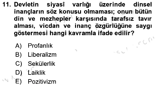 Din Sosyolojisi 2024-2025 Yaz Okulu Sınavı - 11. soru