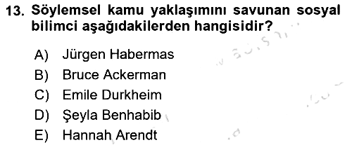 Din Sosyolojisi 2025-2026 Yaz Okulu Sınavı - 13. soru