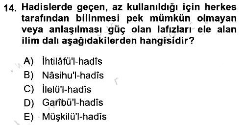 Hadis 2024-2025 Ara Sınav - 14. soru