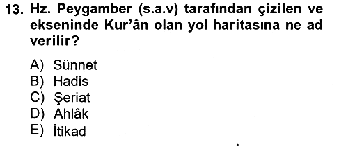 Hadis 2014-2015 Tek Ders Sınavı - 13. soru