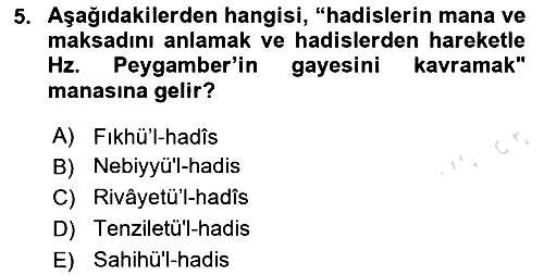 Hadis 2020-2021 Yaz Okulu Sınavı - 5. soru
