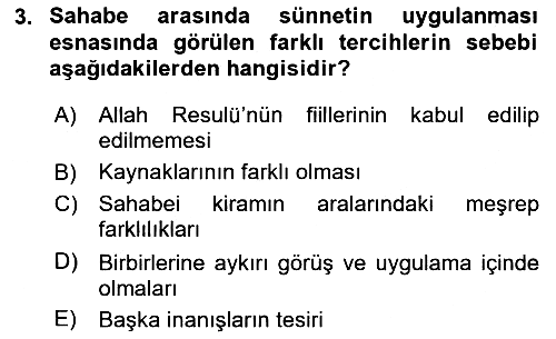 Hadis 2024-2025 Yaz Okulu Sınavı - 3. soru