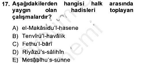 Hadis Tarihi ve Usulü 2013-2014 Ara Sınav - 17. soru