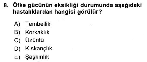 İslam Ahlak Esasları 2018-2019 Dönem Sonu Sınavı - 8. soru