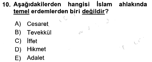İslam Ahlak Esasları 2022-2023 Yaz Okulu Sınavı - 10. soru