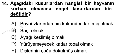 İslam İbadet Esasları 2021-2022 Dönem Sonu Sınavı - 14. soru