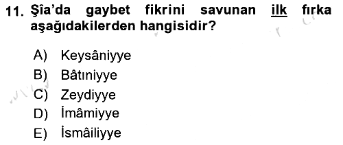 İslam Mezhepleri Tarihi 2020-2021 Yaz Okulu Sınavı - 11. soru