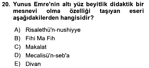 Türk İslam Edebiyatı 2024-2025 Ara Sınav - 20. soru
