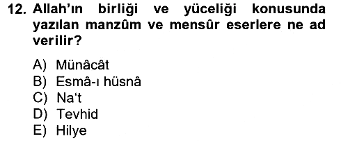 Türk İslam Edebiyatı 2012-2013 Dönem Sonu Sınavı - 12. soru