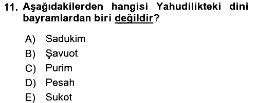 Yaşayan Dünya Dinleri 2017-2018 3 Ders Sınavı - 11. soru