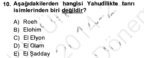 Yaşayan Dünya Dinleri 2014-2015 Dönem Sonu Sınavı - 10. soru