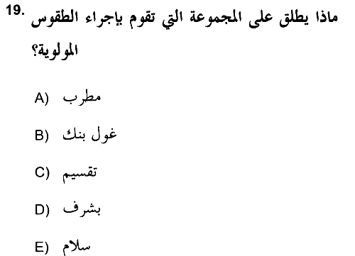 İslam Sanatları Tarihi 2017-2018 Dönem Sonu Sınavı - 19. soru