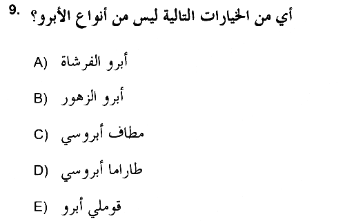 İslam Sanatları Tarihi 2018-2019 Dönem Sonu Sınavı - 9. soru