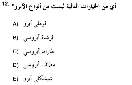 İslam Sanatları Tarihi 2018-2019 Yaz Okulu Sınavı - 12. soru