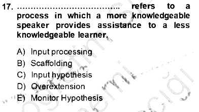 Dil Edinimi 2014-2015 Dönem Sonu Sınavı - 17. soru