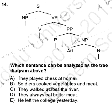 Dilbilim 1 2014-2015 Dönem Sonu Sınavı - 14. soru