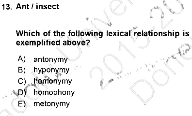 Dilbilim 1 2015-2016 Dönem Sonu Sınavı - 13. soru