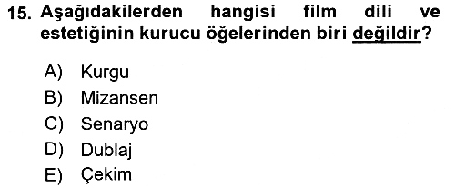 Güzel Sanatlar 2016-2017 3 Ders Sınavı - 15. soru