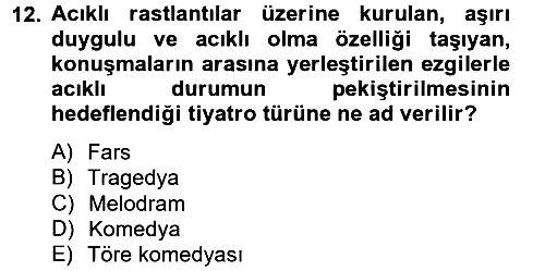 Güzel Sanatlar 2013-2014 Tek Ders Sınavı - 12. soru