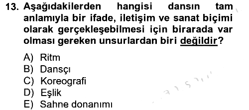 Güzel Sanatlar 2013-2014 Tek Ders Sınavı - 13. soru