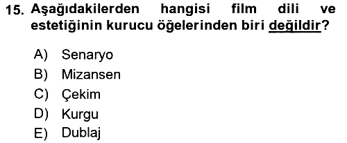 Güzel Sanatlar 2015-2016 Tek Ders Sınavı - 15. soru