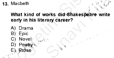 İngiliz/Amerikan Edebiyatı 2 2013-2014 Dönem Sonu Sınavı - 13. soru
