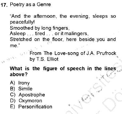 İngiliz/Amerikan Edebiyatı 2 2013-2014 Dönem Sonu Sınavı - 17. soru