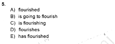 Pedagojik Gramer 2 2014-2015 Ara Sınav - 5. soru