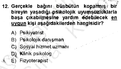Rehberlik 2012-2013 Ara Sınav - 12. soru