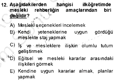 Rehberlik 2013-2014 Dönem Sonu Sınavı - 12. soru