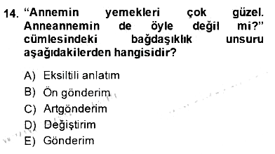 Türkçe Sözlü Anlatım 2014-2015 Ara Sınav - 14. soru