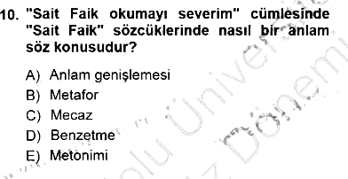 Türkçe Sözlü Anlatım 2012-2013 Dönem Sonu Sınavı - 10. soru
