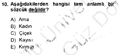 Türkçe Sözlü Anlatım 2013-2014 Dönem Sonu Sınavı - 10. soru