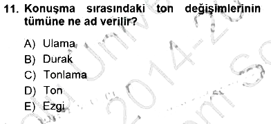 Türkçe Sözlü Anlatım 2014-2015 Dönem Sonu Sınavı - 11. soru