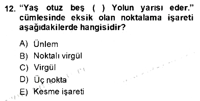 Türkçe Yazılı Anlatım 2014-2015 Dönem Sonu Sınavı - 12. soru