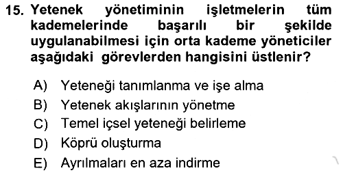 İnsan Kaynaklarında Güncel Yaklaşımlar 2021-2022 Yaz Okulu Sınavı - 15. soru