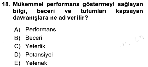 İnsan Kaynaklarında Güncel Yaklaşımlar 2023-2024 Yaz Okulu Sınavı - 18. soru
