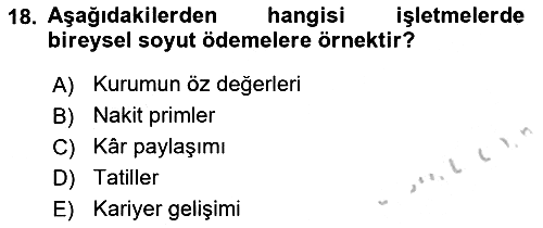 Ücret ve Ödül Yönetimi 2018-2019 Yaz Okulu Sınavı - 18. soru