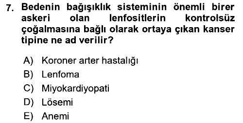 İş Sağlığı ve Güvenliğinin Temelleri 2022-2023 Yaz Okulu Sınavı - 7. soru