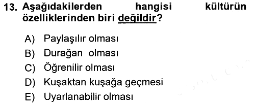 Küresel Pazarlama 2015-2016 Ara Sınav - 13. soru