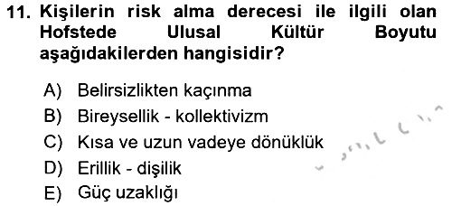Küresel Pazarlama 2016-2017 Ara Sınav - 11. soru